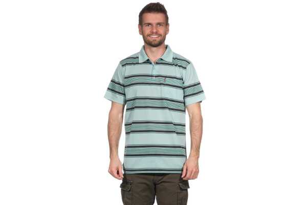 Herren Poloshirt Sommer Polo-Hemd Kurzarm gestreift, Pistazie XXL